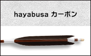 ハヤブサカーボン