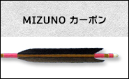 ミズノカーボン