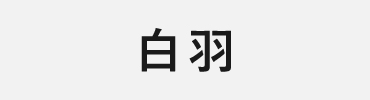 2014：白羽