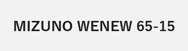 遠的矢：WENEW 65-15