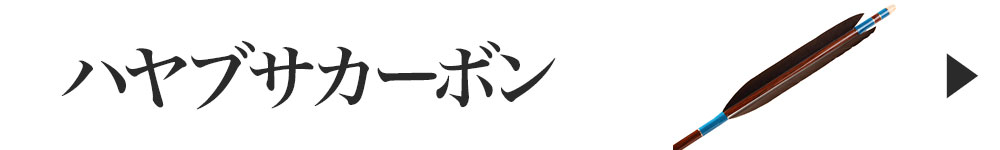 ハヤブサカーボン