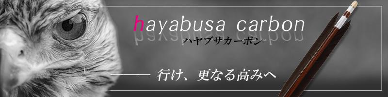 ハヤブサカーボン